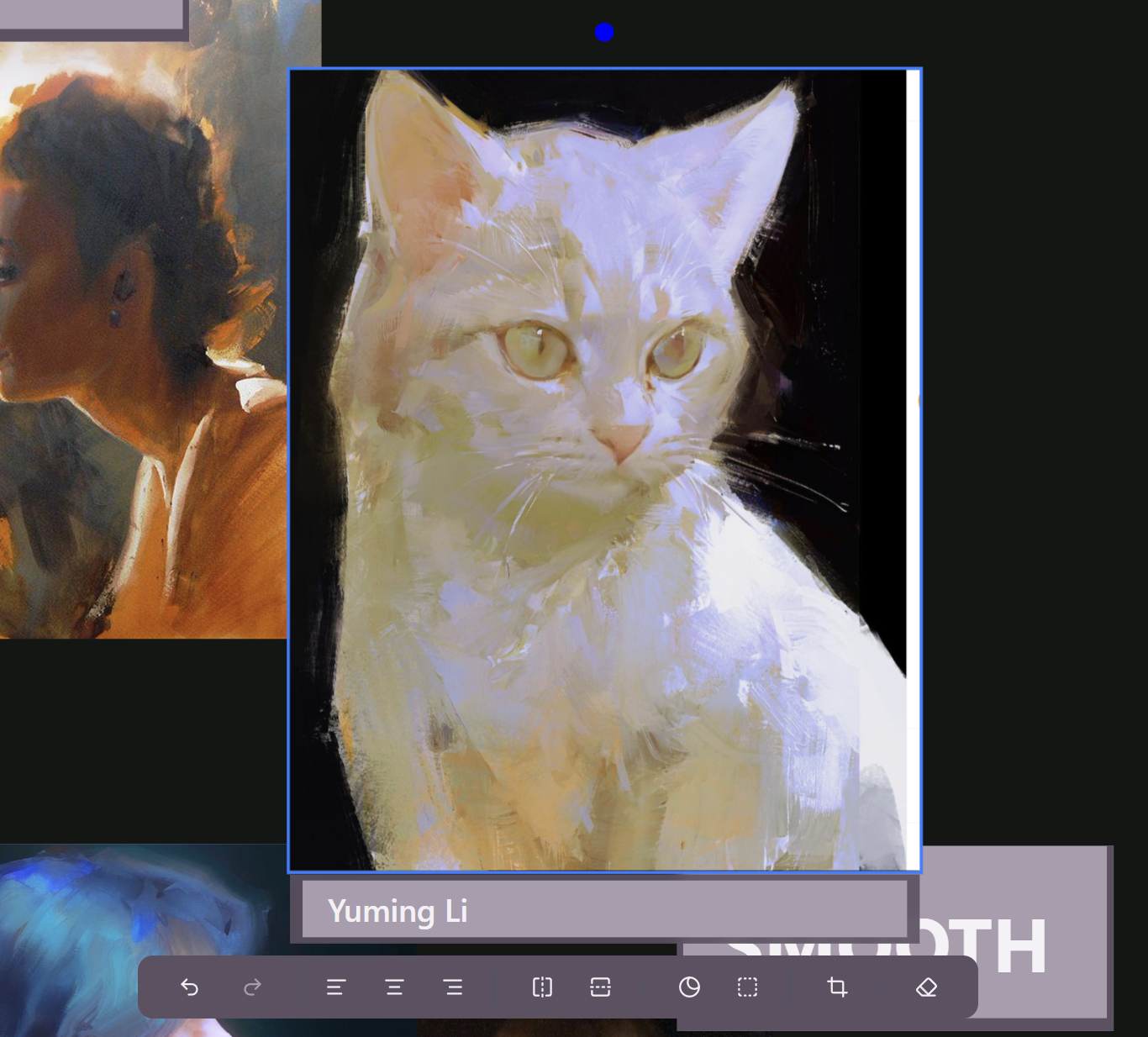 What the image editor looks like